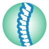Blue and white spinal column bones icon with green background for back doctor branding